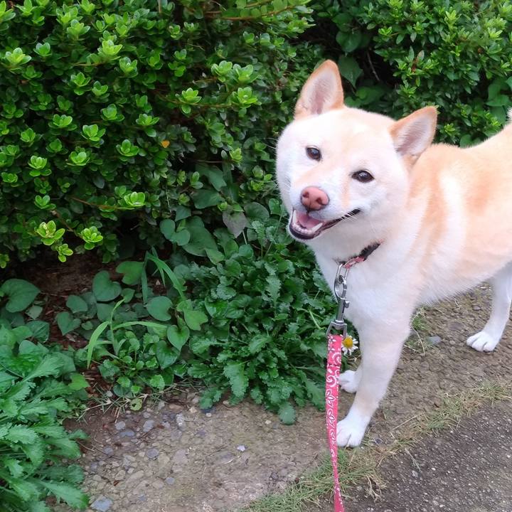 C73ad2b2 47ff 4c41 bf78 9636a686054b 1563437544219