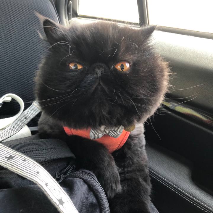 C73adff4 bdd0 405d a139 136e45266431 1625912608952