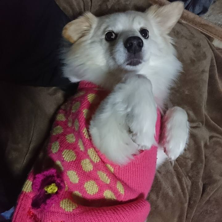 C73b03a9 1c90 4fe3 995a 0b6490657489 1517480173163