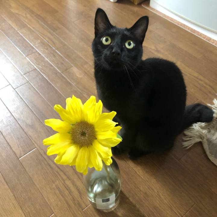 C73b943d 6136 4252 b827 5af9f3d14282 1624070560021