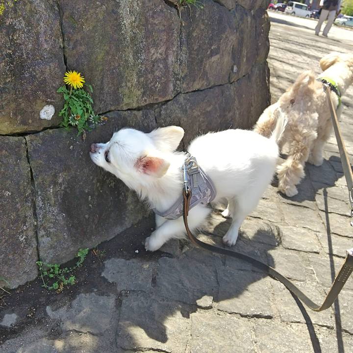 C73ba786 ffde 4e1a a4b5 d61ad9eaac7a 1587287560591