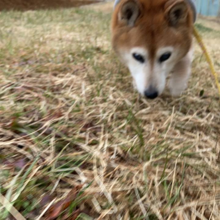 C73bd018 0a1f 4ef6 bbba 46d1b0cdd201 1770795778168