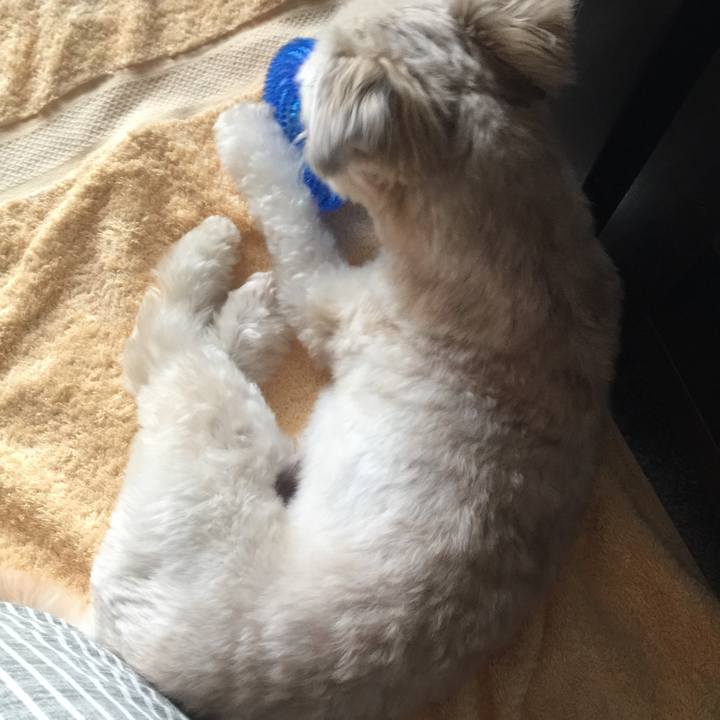 C73bdfd1 907b 4566 8d95 47254701ad1f 1532243087847