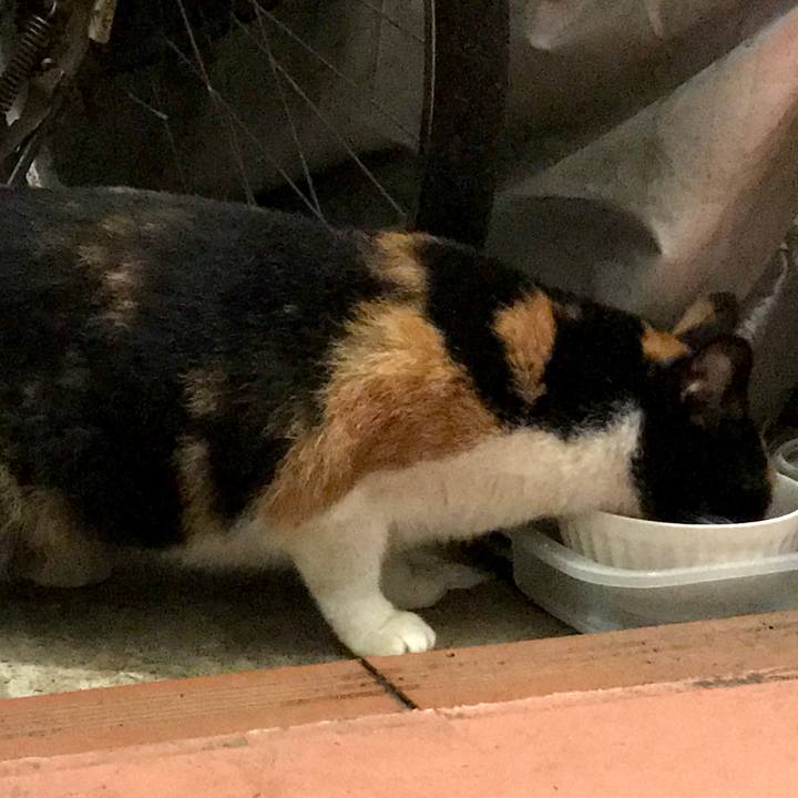 C73be624 0b0c 4b08 a4be ee118ec1d163 1537410782458