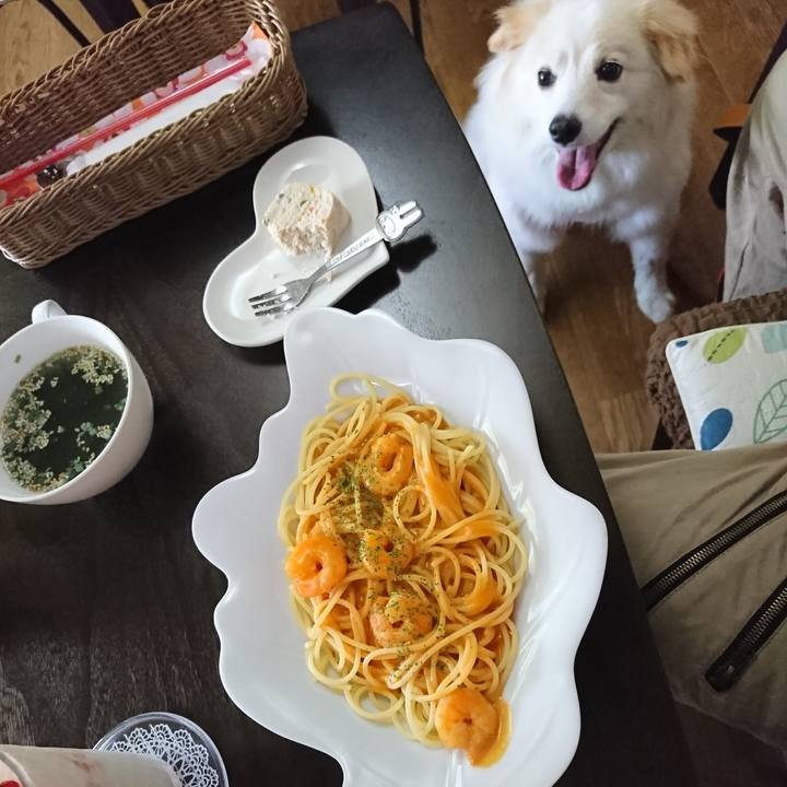 C73bfb88 9ea7 49cd 998b aaaa5856cf5a 1526281165855