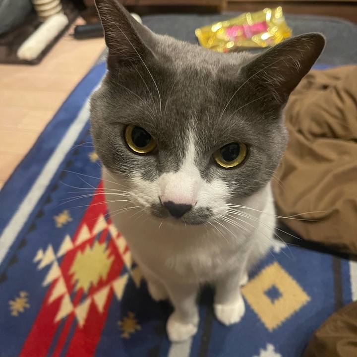 C73c1a56 0858 4ab3 b0c1 3fc1ac38d964 1669800407950