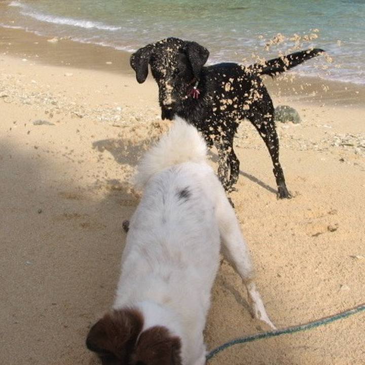 C73c5acb e142 4c19 b103 1c6363a8e2a9 1558709371657