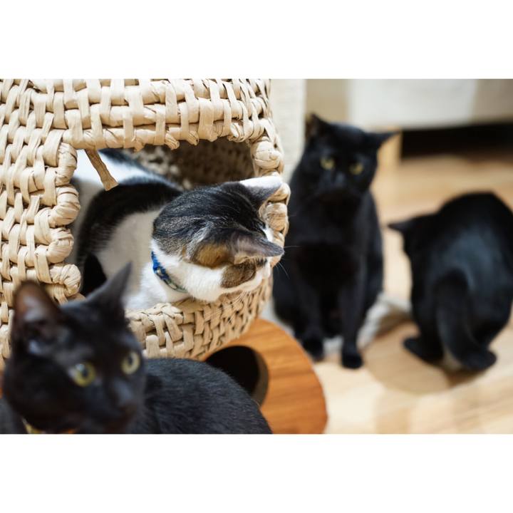 C73c7783 2462 4aa4 8146 a9d8eb2d8fe5 1550671763790