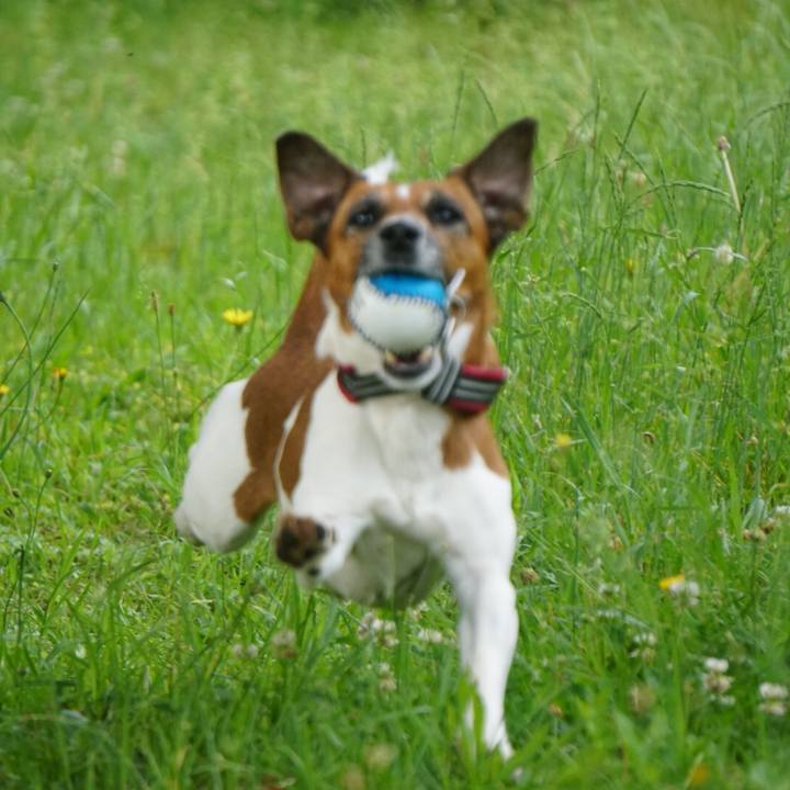 C73c7c51 2055 4f9e a83c 4916fe6a662b 1559256956835