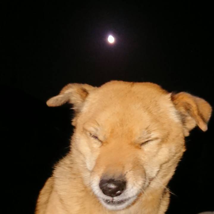 C73c9603 ebe8 4e17 9b12 664ddffa4f47 1614422027613