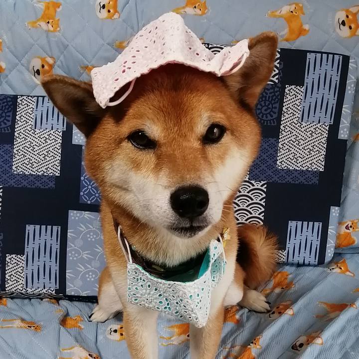 C73cd28c 4ede 4fb6 b376 96682e8a244a 1599718263414