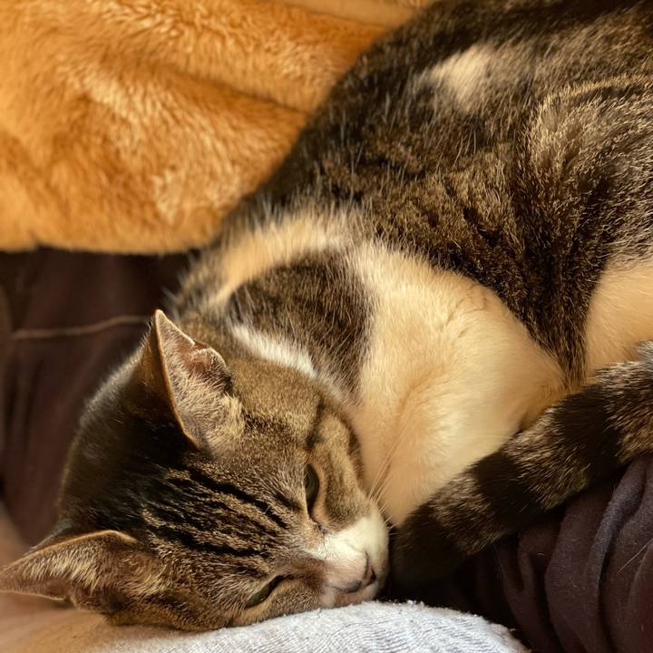 C73cf919 12b3 419f ac04 07a508db1b3d 1645579641192