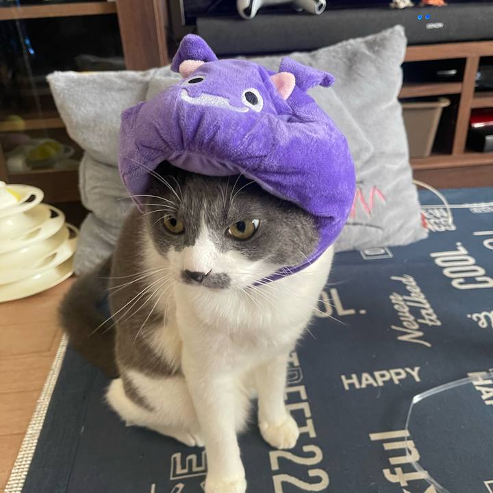 C73d03f3 aaf5 43c2 98e6 1bd9d0d36f1b 1726380331243