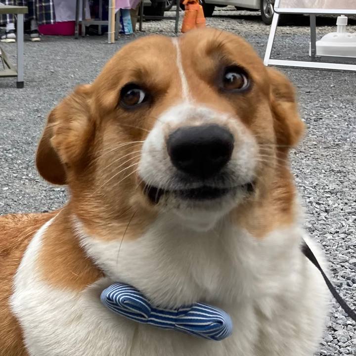 C73d06d0 dc04 4ea1 a6d6 e7177a9a9e19 1686360776858