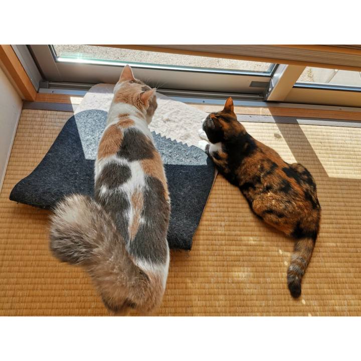 C73d194e 00ae 4369 bcbb 183a6bb1562a 1661830485263