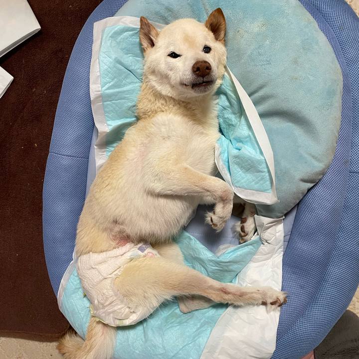 C73d38f4 6a5d 4fe6 9f05 3b71f977ec86 1679888704831