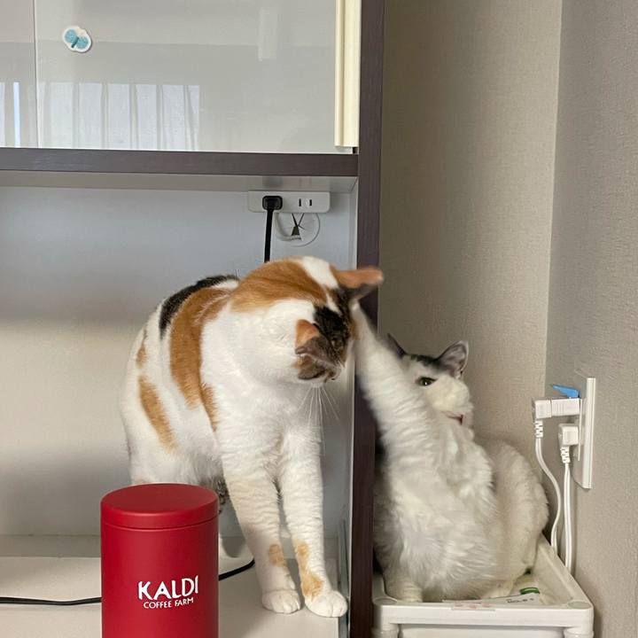 C73d5ac7 3617 4505 987d 6d677196191f 1621567929004