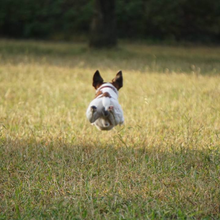 C73d7bba 7645 4686 b445 311e999ff13d 1540853995698