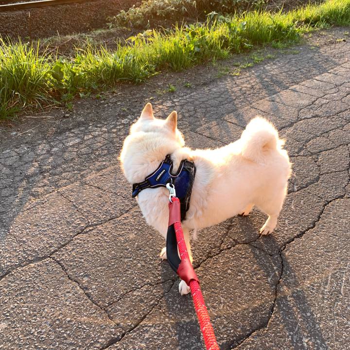 C73d81e0 2ec3 4d1c 8145 81f3eacb6c31 1652214534044