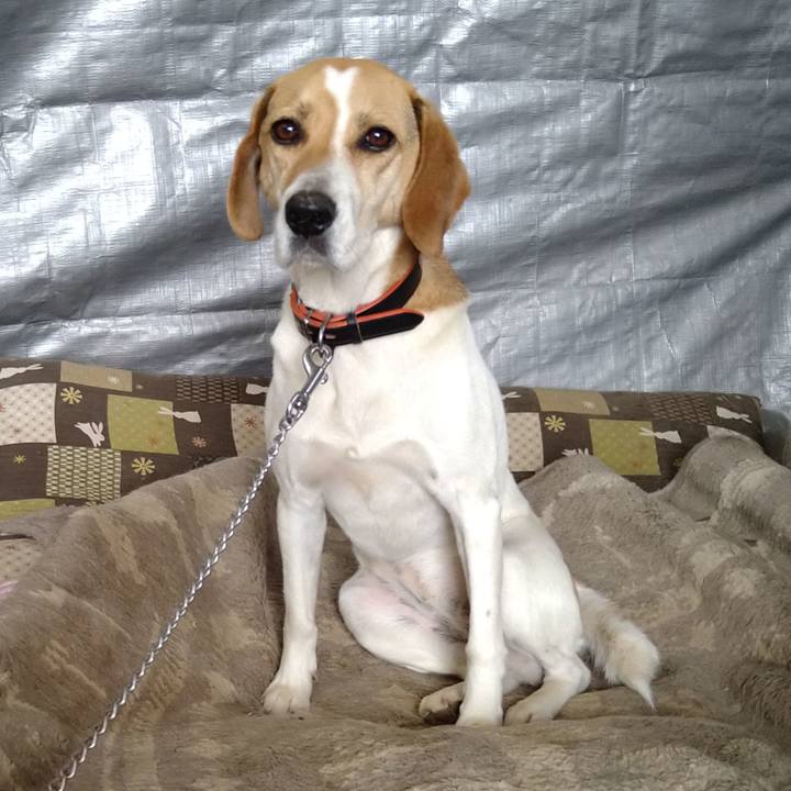 C73d828b a041 4397 b317 a943989d6800 1621838160869