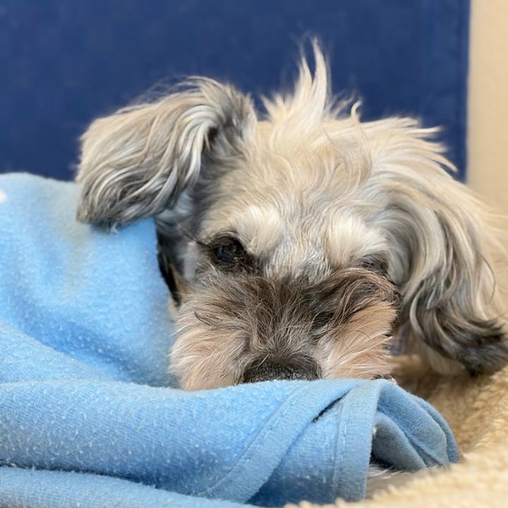 C73d9971 4a02 4854 bd87 77618281e7f9 1771043003742