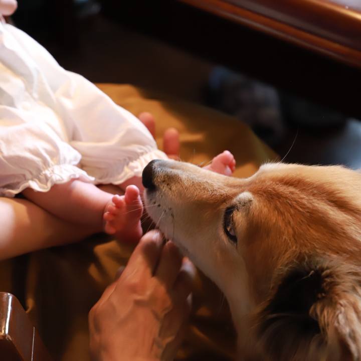 C73da3f0 8dd9 40d5 8b0c 1a1860a7295b 1559110903070