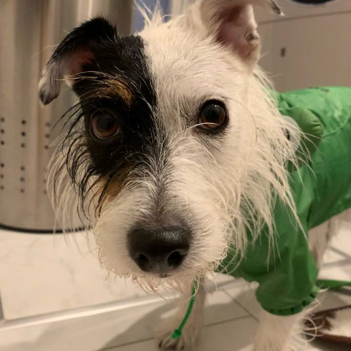 C73defad da26 4cab 9730 6d961adb81b5 1602294858081