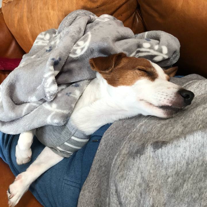 C73e1950 27ca 46c7 8598 6e35452e0ce5 1636625367521