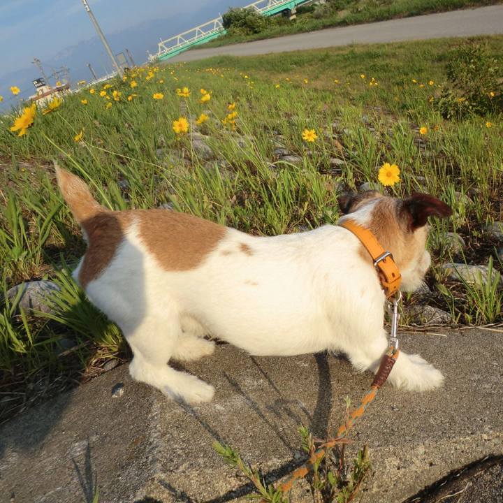 C73e226e 5694 4d30 917a b66c5cd28426 1531130085734