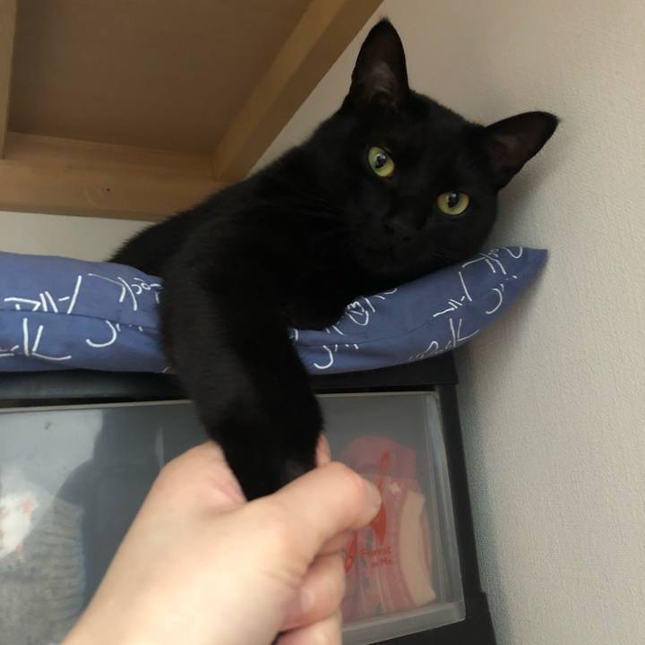 C73e4067 d828 4959 b4c1 2c48ef88eb8c 1556764581109