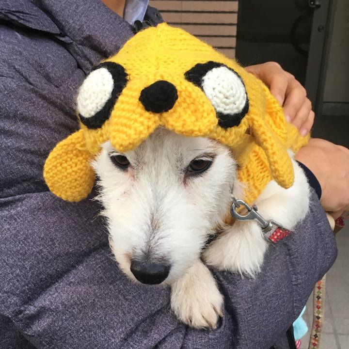 C73e6d9d 9123 4bb1 83f2 ec3d0c77fd79 1545259927645