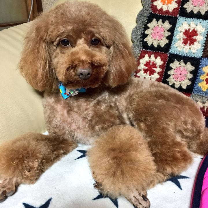 C73ec9e6 47a0 42a4 9ebe 6b297321cca7 1521880790138