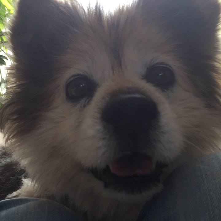 C73edac2 902e 46b2 b4da 3cc6d5fbc2da 1637385281836