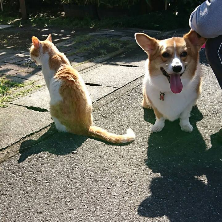 C73ef18d 3732 4ee6 bd1d c062b7eee888 1508983257519