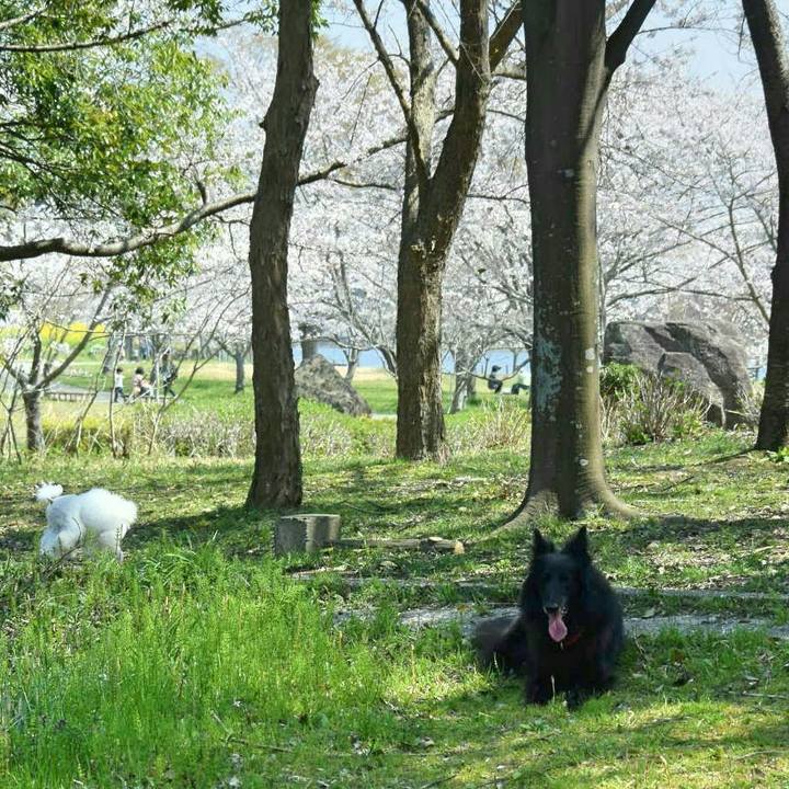 C73f26ad d536 4ac8 8a43 16db0f168ed2 1522220858472