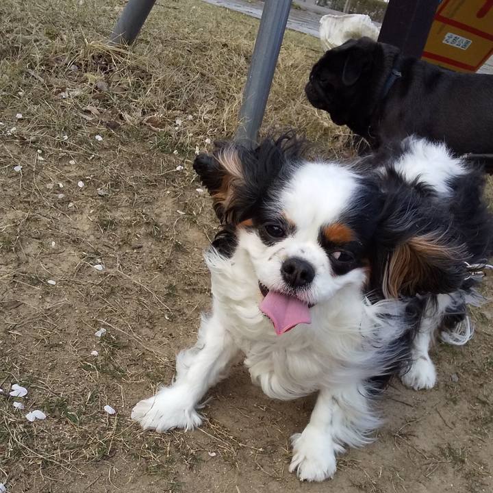 C73f35cb e7f5 48a9 ac19 c2c6b2bf6ad6 1586363439597