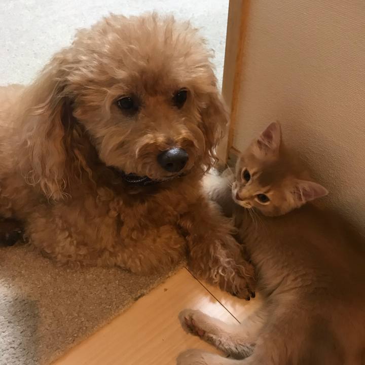 C73f56db 2699 407a a3d0 80faf67e2701 1539134636365