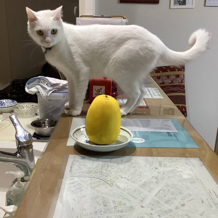 C73f73d7 6d15 413a 880f e37a3bade304 1659253891140