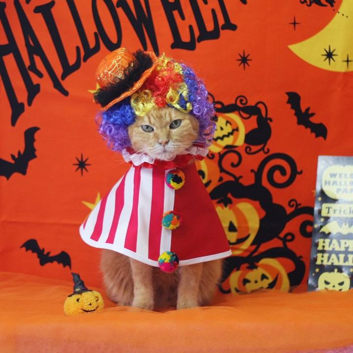 C73f7725 116f 4811 894e f0fad0799b17 1696510792575