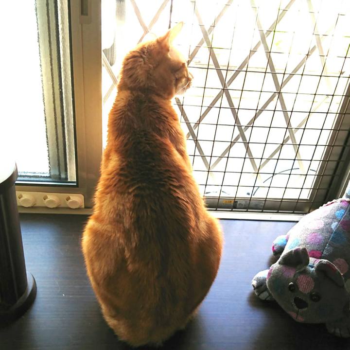 C73fcb36 5e27 45fc a6e9 020615e88b44 1522462571427