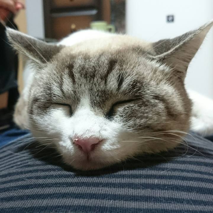 C73fd9a0 fe29 4c06 9116 ef1952c4fd50 1512391695812