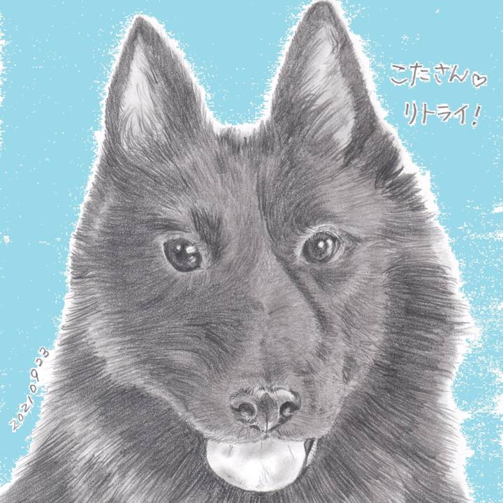 C7402f70 de5e 42d8 baa6 194d6282ca00 1632398898966