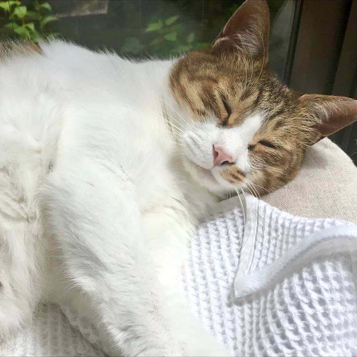 C7407443 87fc 4d3d a16b ff97062bfa0b 1562587018450