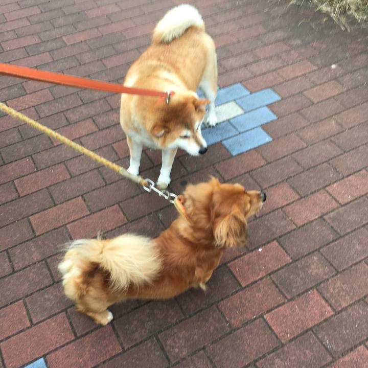 C7407896 a923 48ed a9ed 610494732c0b 1600556475128