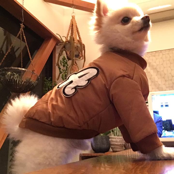 C74087f7 8b33 4476 86b5 dc1af937675c 1550059629000