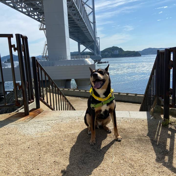 C740a208 f270 4fcd 9aa9 e0938adf3bfb 1592639744802