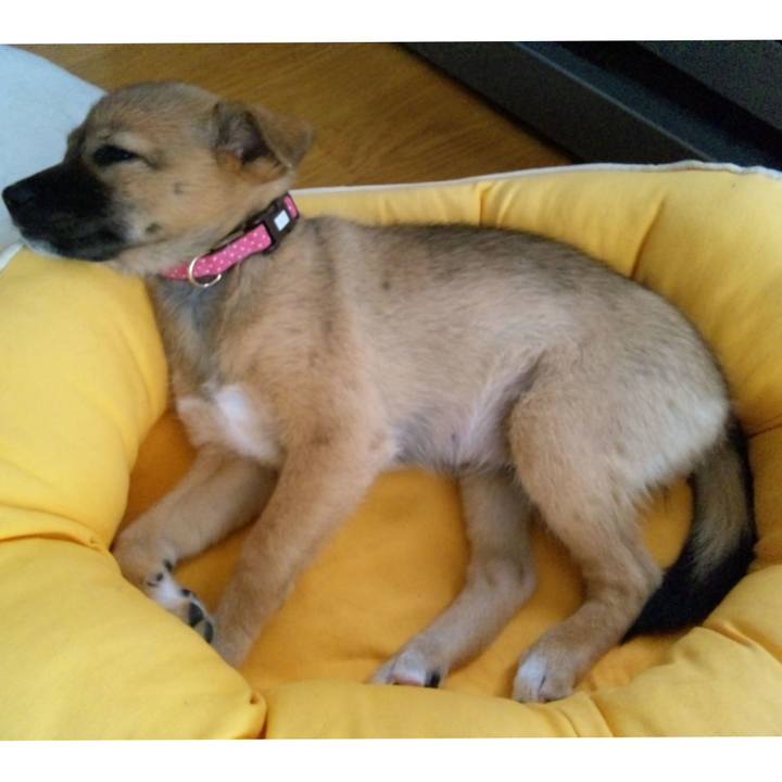 C740cf06 005a 4c72 adba 5f74bd797a6e 1757240749307