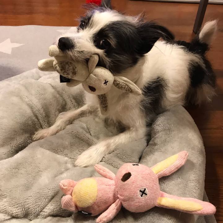 C740d873 0b11 4a35 b02a c3bf3bb7528b 1555153928482