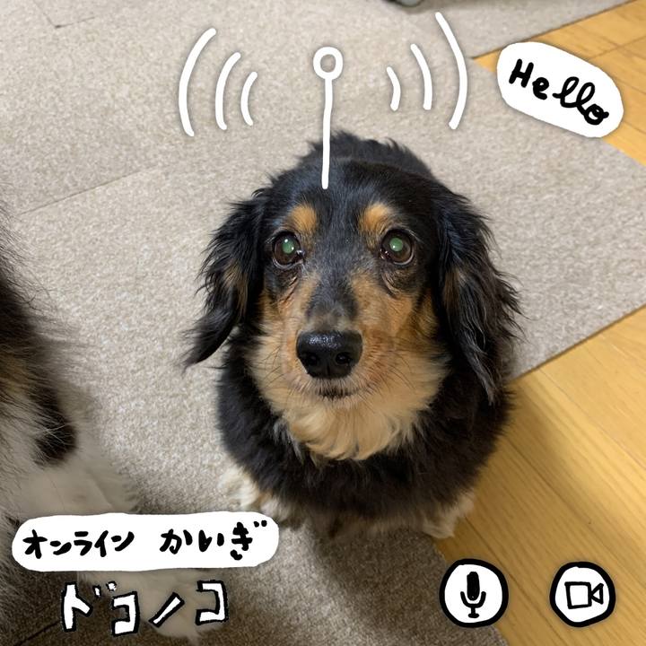 C7411b4e 435f 44bc 870c 467342f23691 1590749995279