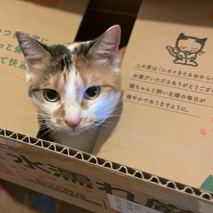 C7411f11 9c3d 4a81 aba7 42a2119cb9cd 1688781005698